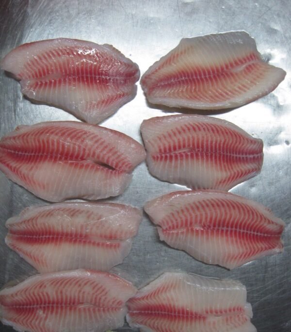 Tilapia fillet - Image 2