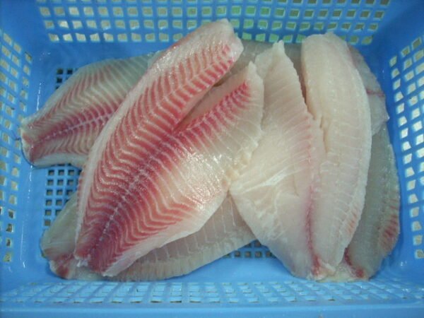 Tilapia fillet