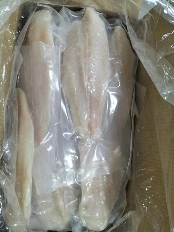 Pangasius fillet - Image 6