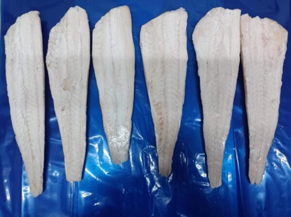 Pollock fillet - Image 2