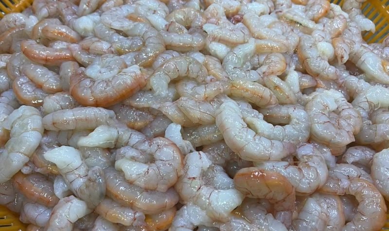 Red shrimp PUD Red shrimp PUD