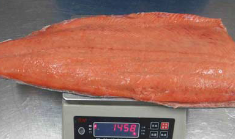 Chum Salmon Chum Salmon