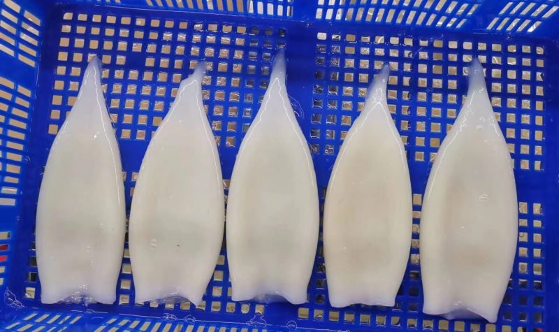 Squid Tube Squid Tube