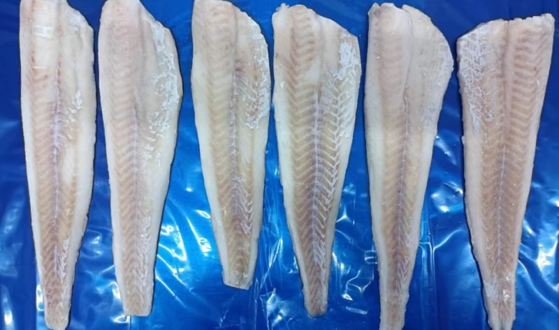 Pollock Fillet Pollock Fillet